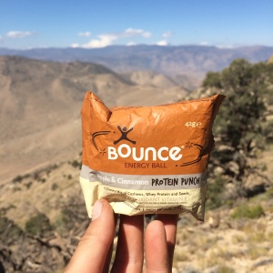 Bounce protein ball
