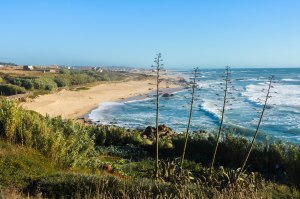 Gorgeous Portuguese Atlantic Coast