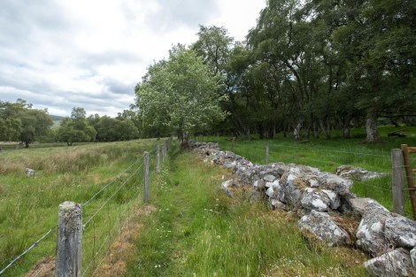 A change of scenery, skirting around farmland