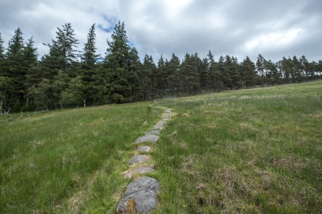 Thanks to the farmer who laid these stepping stones through the field