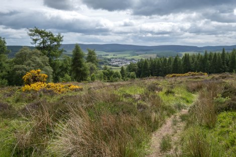 First view of Dufftown from the public footpath from Aberlour to Dufftown