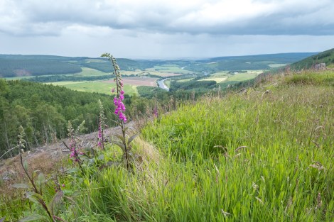 Views of the River Spey from the trail around Ben Aigan