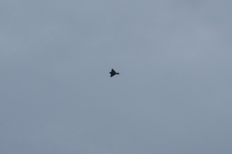 I heard and sometimes saw these fighter jets every other day on this trip to Scotland. This one flew over while I was at the Scottish Dolphin Centre.