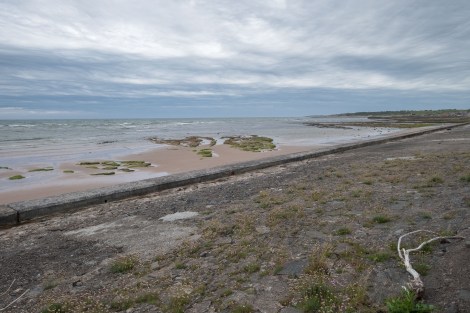 I can't read clouds, but I'm sure these are indicative of the wild wind that was blowing!