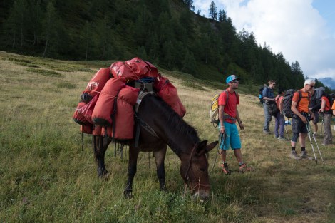 Passing a French group with their pack horse