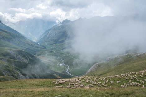 Grazing sheep on the steep hillsides above Refuge des Mottets