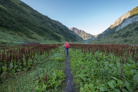 Heading through the valley towards Les Chapieux