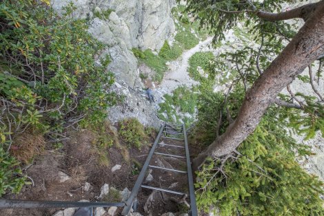 Dad hasn't gone splat... he's just waiting at the bottom of the vertical ladders for me to climb down!