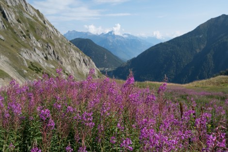 Looking towards Switzerland and the village we're headed to, Trient