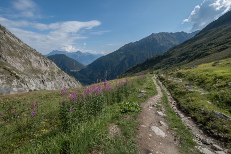 Descending to Trient