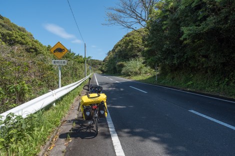 Beware of animals... I'm not sure what this is?