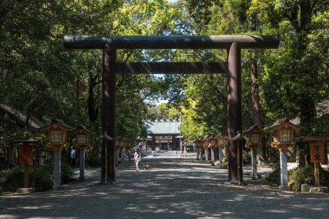 Miyazaki-jingu Shrine