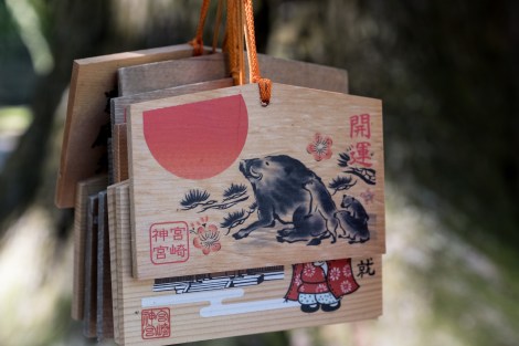 Ema votive tablets at Miyazaki-jingu Shrine - this year is the year of the boar
