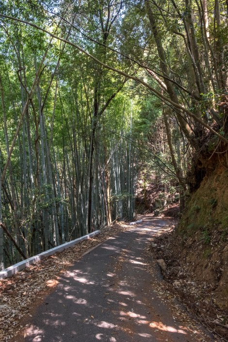 Komoot LOVES taking me off the beaten path!