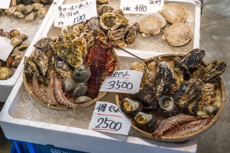 The fish market at the Michi no eki beside the ferry terminal in Yawatahama