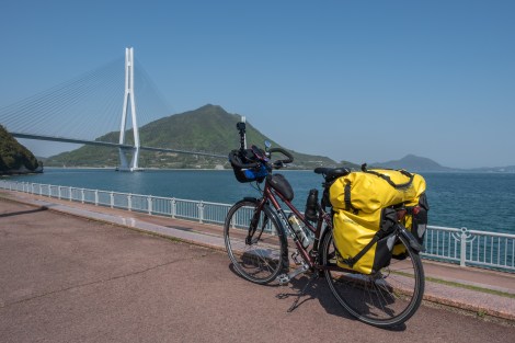 Momiji on the Shimanami Kaido cycling path