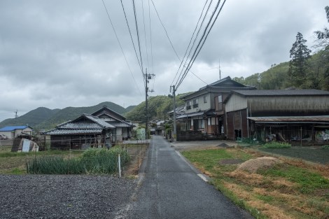 Cycling along small roads through rural areas
