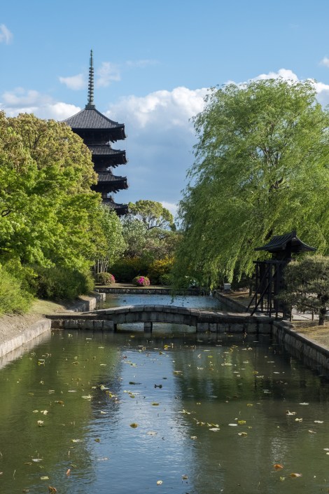 Toji Temple, Kyoto