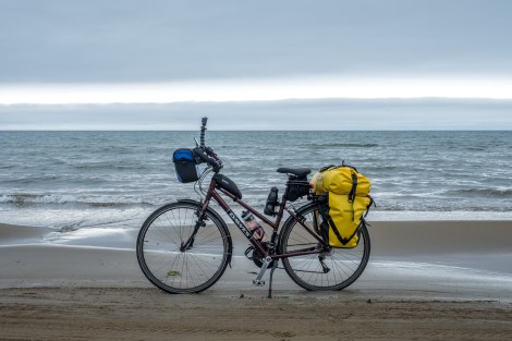 Momiji on the Chirihama driveway