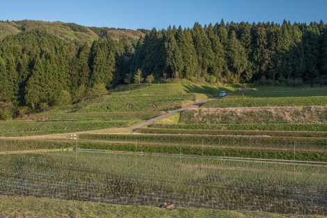 Terraced rice fields, Noto Peninsula