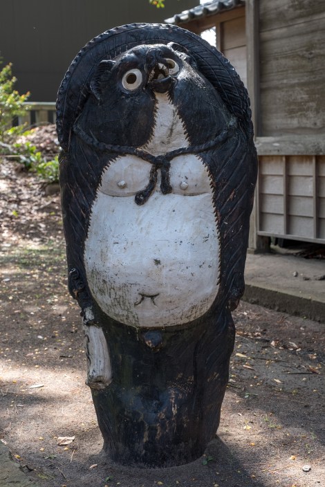 A large Tanuki at a nearby shrine