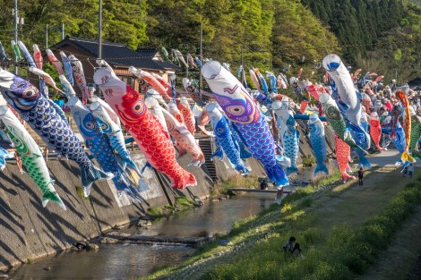 There were hundreds of carp kites here which are displayed for Children's Day on May 5