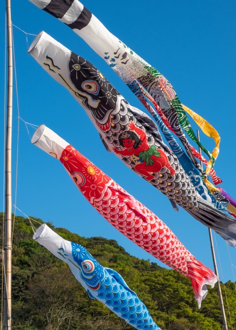Carp kites are hung up to celebrate Children's Day on May 5