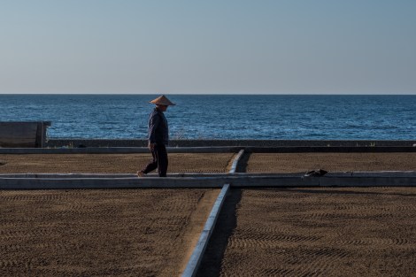 A farmer in his salt field