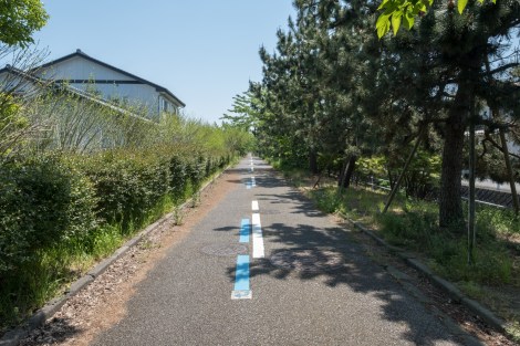 Toyama coastal cycling route