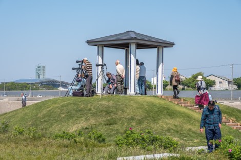 For the life of me, I couldn't see what these photographers could...