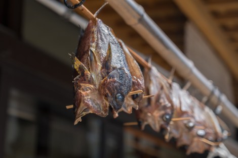 Drying fish on Sado Island