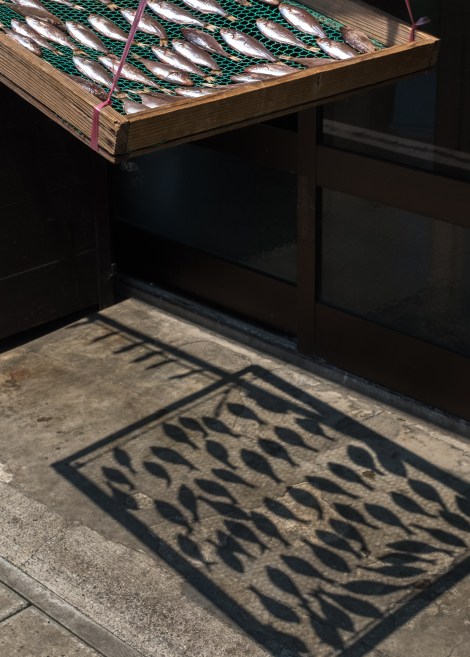 Drying fish on Sado Island