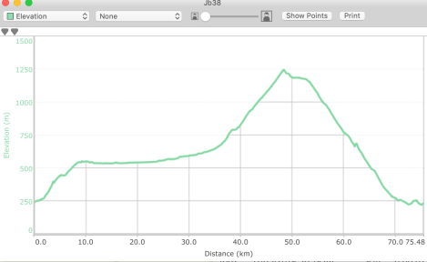 Jb38 - elevation profile from Basecamp
