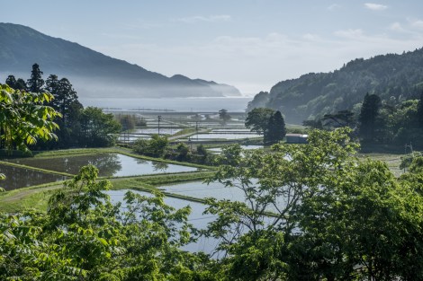 Rice paddies meet the sea near Kamaishi