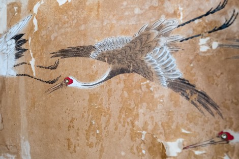 Cranes painted onto the wallpaper