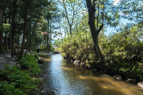 The Kappabuchi pool in Tono
