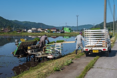 Loading the rice planter