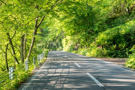 Riding around Lake Towada on Route 454 in the early morning