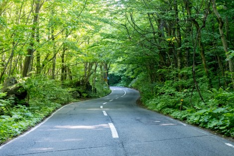 Route 102 leading away from Lake Towada along the Oirase Gorge