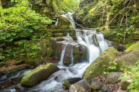 The Oirase Gorge (Route 102) is dotted with numerous stunning waterfalls