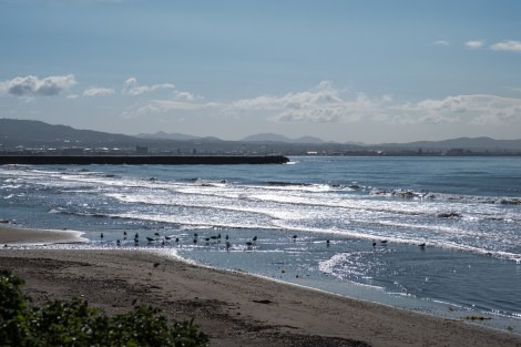 Looking back at Hakodate