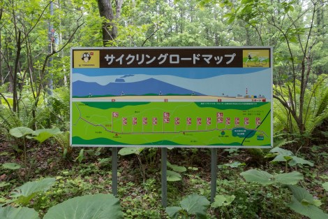Tomakomai to Lake Shikotsu cycling road