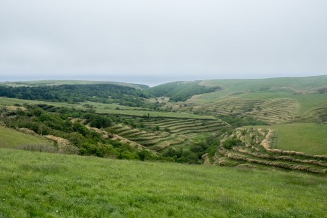 The view from Soya hill, Route 889