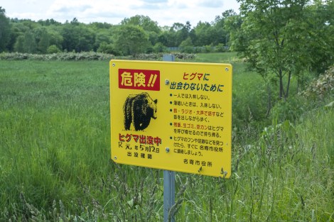 According to this sign, a bear was last sighted here on the 12th May