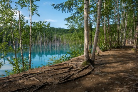 The path around Aoi-ike blue pond