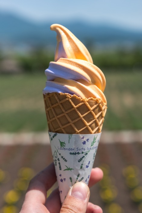 A lavender and melon ice cream at Farm Tomita, Furano