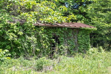 Dilapidated buildings along Route 49