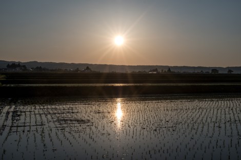 Sunset over the rice fields, Aizu Wakamatsu