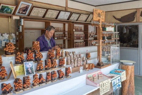 A man making Kokeshi dolls at Tonohetsuri cliff (I bought a jizo doll here)