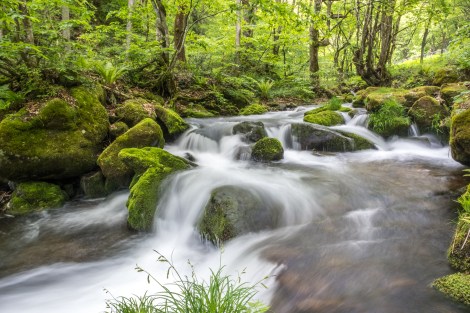 The river running parallel to Route 329 on my way to Ouchi-juku